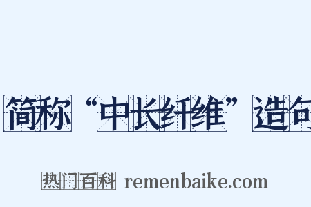 简称“中长纤维”造句是什么意思的图片